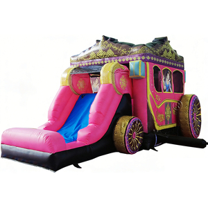 Winsun Château Gonflable Thème Princesse pour Enfants, Ignifuge, Imperméable, en PVC, Facile à Installer, Taille Personnalisée, Certifié CE, avec Toboggan - Product Image 1