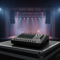 Console de mixage audio amplifiée professionnelle avec effets DSP, Bluetooth, USB, MP3 pour scène, mariage, DJ, système sonore