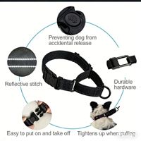 Collier Réfléchissant en Nylon Solide et Réglable pour Petits Chiens avec Anneaux en D, Style Classique, Accessoire d'Entraînement pour Chats - Vente en Gros