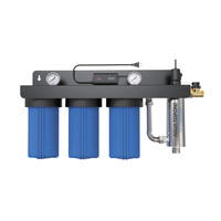 Maßgeschneidertes Ganzhaus-Trinkwasserfiltersystem 4,5*10''/ 4,5*20'' Big Blue UV-Wasserfilter Untertischmontage mit schwarzem Aufhängeboard