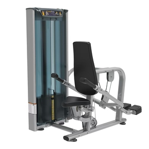 Gli <span class=keywords><strong>istruttori</strong></span> di palestra utilizzano una macchina professionale per tricipiti con piastre di inserimento per allenare i tricipiti. - Product Image 1
