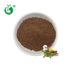 Tarassaco Tea Herbals estratto di radice di tarassaco flavonoidi in polvere