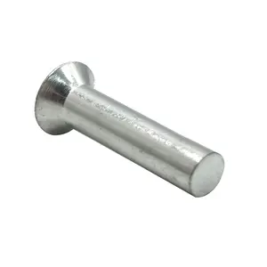 Solid Rivets 304 Stainless Steel DIN 661 Flat Countersunk Head Solid Rivets