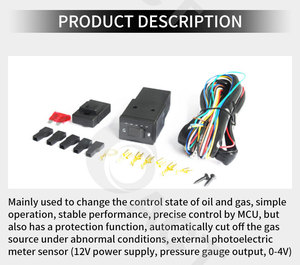 Act Technologie Ngv Cng Keuzeschakelaar Lpg Omschakeling Gnv Gnc Conmutador Carburado Inyectado Llave - Product Image 6
