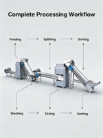 Vente directe du fabricant : Machine à éplucher l'ail, éplucheuse d'ail, machine à enlever la peau, machine à éplucher les oignons et l'ail