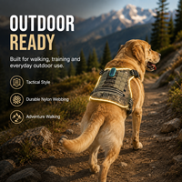 Harnais LED pour chien de taille moyenne Qcool, en nylon, visible la nuit, avec sangle réglable anti-traction et éclairage latéral lumineux, pour la promenade en extérieur