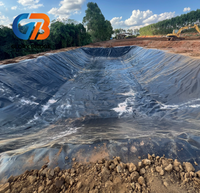 Fabricants de géomembranes en HDPE, feuille imperméable de 2 mm, membrane anti-infiltration en HDPE pour étang à poissons, aquaculture, décharge sanitaire, canal