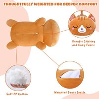 Peluche chat orange personnalisée lestée, en peluche courte avec billes lestées, mignonne, coussin cadeau