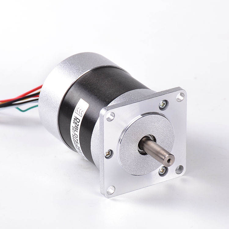 57mm BLDC DC 24V Brushless Electric Motor 3000/4000/5000rpm High Torque ...