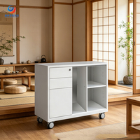 Meuble d'appoint métallique moderne haut de gamme à 2 niveaux, organiseur de classement en acier avec dispositif anti-basculement pour bureau et extérieur