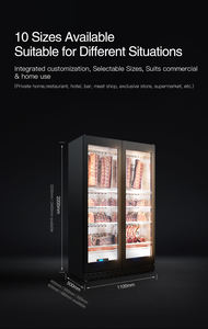 Refroidisseur de viande vieilli sec <span class=keywords><strong>professionnel</strong></span> contrôle précis de la température et de l'humidité 10 tailles disponibles armoire de vieillissement à sec - Product Image 3