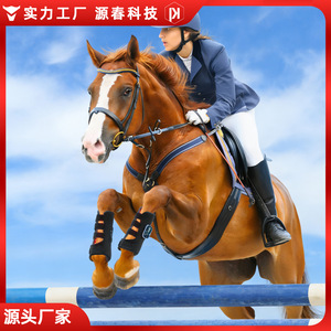 Appareil de thérapie par lumière rouge pour les jambes des chevaux, 810 nm infrarouge, attelle de récupération musculaire avec écran numérique pour les soins équins - Product Image 5