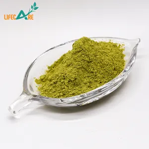 Factory Supply Raw Powder Celery Root Powder In Bulk