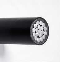 Câble d'alimentation aérien en aluminium Zhongkai JKLY 1x16mm, isolé PE, 0.6/1kV, basse tension, sans gaine, 70°C