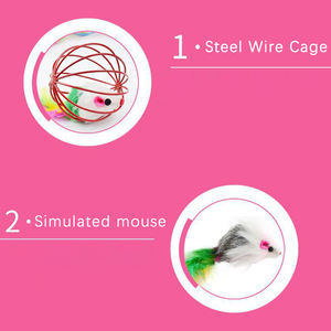 Juguetes chirriantes coloridos y novedosos para gatos, jaulas de alambre con plumas, material de acero inoxidable para el autoentretenimiento de los gatos - Product Image 5