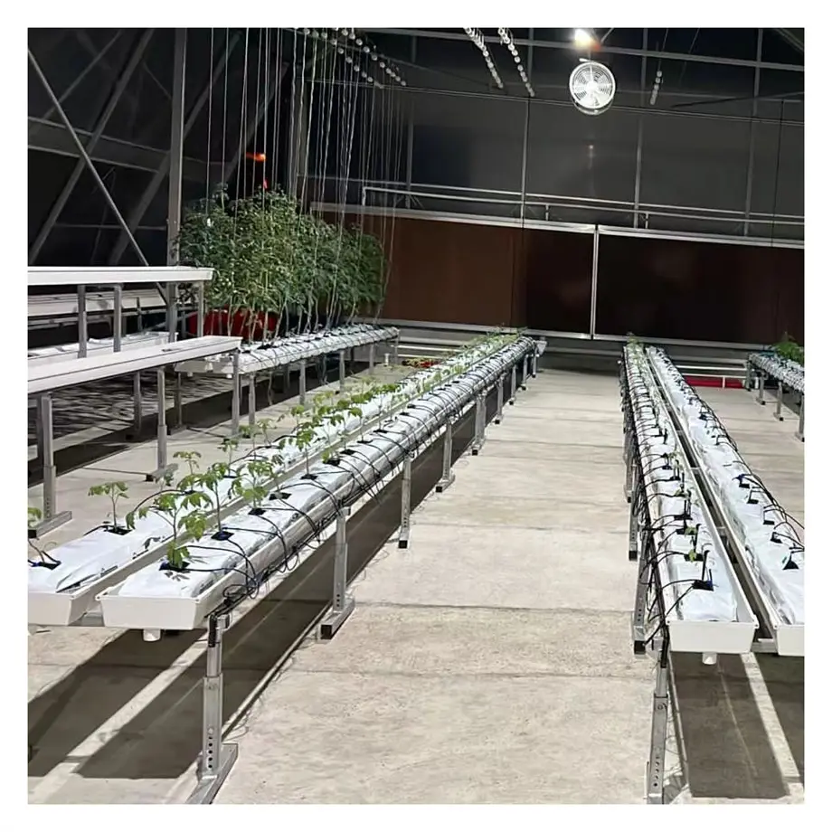 Sistema de plantación hidropónica de sustrato de canalón de cultivo hidropónico vertical para fresa