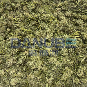 Food Grade Flower Dehydrator Seaweeds Straw Grass Dryer Mint Raspberry Leaf Hemp Drying Machine - Product Image 3