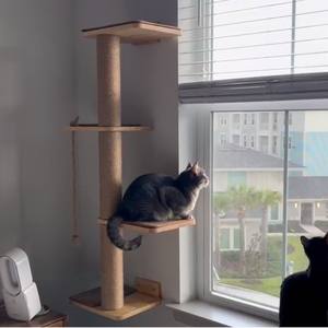 Albero di attività del gatto con Tunnel palla giocattolo Sisal colonna 360 rotazione Pallet fornitura - Product Image 5