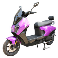 Moto électrique de tourisme TIKING 1500W Batterie 72V20Ah Vitesse maximale de 60 km/h pour la mobilité quotidienne