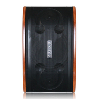 OEM 10 pouces 200W système de sonorisation professionnel Home cinéma système de sonorisation passif pour les fêtes karaoké