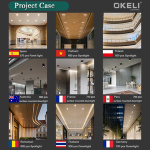 Fabricant de Zhongshan OKELI 7w 12w 18w Lumière intérieure commerciale Cob Boîtier en aluminium Plafonnier Led encastré - Product Image 5