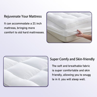 Protège-matelas Jacquard en gros – Taille simple/double, extra-épais, antidérapant, doux, à poches profondes, garni de duvet, toutes saisons