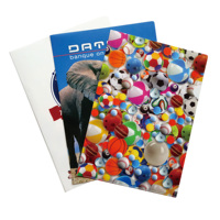 Carpeta de Archivo Transparente en Forma de L, Personalizada, de Plástico PP PVC A4, para Suministros de Oficina, con Bolsillo Trasero