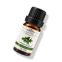 Huile essentielle de laurier 100% pure et naturelle pour l'aromathérapie, huile de Laurus nobilis, soins de la peau biologiques, soins capillaires, diffuseur, massage, 10 ml