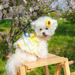 Vestidos <span class=keywords><strong>de</strong></span> Lujo para Mascotas, Estilo Princesa, para Bodas, Fiestas, Diseño Adorable, <span class=keywords><strong>Primavera</strong></span>-Verano, con Flores <span class=keywords><strong>de</strong></span> Margarita, Tipo Sling, Poliéster Hipoalergénico - Product Image 1