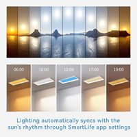 Plafonnier intelligent Blue Sky Light, contrôle par application et simulation de l'irradiation solaire par rythme biologique, 40 °   Lanterneau oblique à lumière naturelle