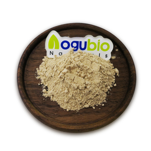 Factory Supply Fucoidin Powder Food Supplement 85% Fucoidin Powder <strong>Natural</strong> Kelp <strong>Extract</strong> <strong>Fucoidan</strong> Powder - Product Image 1