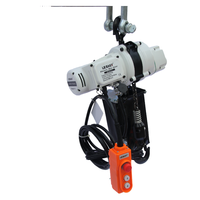 Prix d'usine, mini palan électrique léger 110V / 220V, 250 kg, 0,5 t, 1 t pour le levage