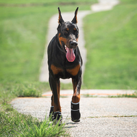 Chaussures pour chiens Chaussures souples pour animaux de compagnie Printemps Automne Semelle en caoutchouc Plongée de nuit Bande réfléchissante Tissu anti-dérapant Bottes légères Protecteur de patte chaud