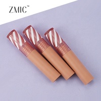 Tube de gloss à lèvres rond mat personnalisé de 2,5 ml, conteneur vide pour rouge à lèvres liquide, emballage cosmétique avec capuchon transparent rayé