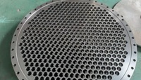 Evaporador de Circulación Forzada de Grado Alimenticio, Planta de Concentración de Lácteos de Alta Eficiencia, Sistema de Cristalización de Acero Inoxidable 316L