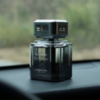 Arôme en gros comprenant des ornements de parfum de style luxe spécifiquement pour les hommes avec des parfums d'intérieur de longue durée