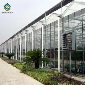 Serre di vetro Sainpoly venlo pianta di pomodoro coltivano serre agricole idroponiche green house