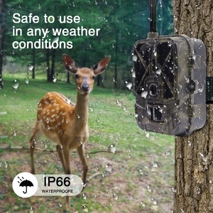 Caméra Trail 4G étanche activée par le sport pour la chasse à la faune et la sécurité domestique Piège photo cellulaire Wildkamera <span class=keywords><strong>Trailcam</strong></span> - Product Image 4
