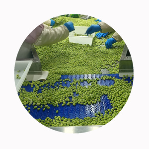 Edamame Verde Congelado IQF de Alta Calidad al por Mayor - Product Image 6