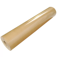 Papier isolant PET haute résistance diélectrique, film isolant en polyester durable pour équipements électriques