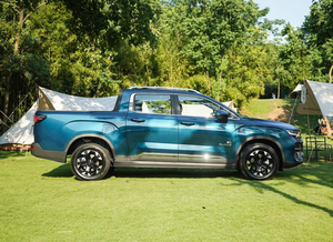 Camioneta eléctrica Geely Radar Rd6, camioneta china de 4 puertas y 5 asientos, coche usado, 2023 - Product Image 4