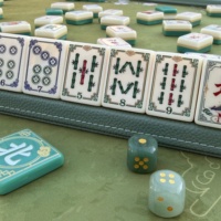 Set Ubin Mahjong Amerika 3-Lapisan Akrilik 160 Buah dengan Pola Bunga dan Burung Antik untuk Wanita, Set Permainan Mahjong AS untuk 4 Pemain.