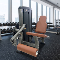 Machine professionnelle de musculation pour extensions et flexions des jambes, à charge par plaques, en métal, pour exercices de fitness en salle de sport