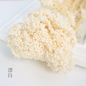 C225 Venta caliente boda decorativa Rosa Blanco Bouquet fresco Natural <span class=keywords><strong>de</strong></span> arroz seco <span class=keywords><strong>flores</strong></span> - Product Image 2