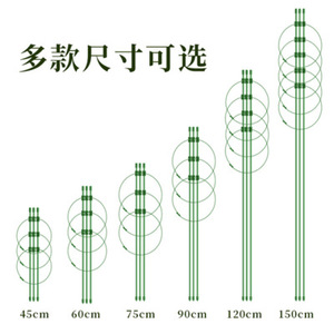 Piquets de soutien <span class=keywords><strong>pour</strong></span> <span class=keywords><strong>plantes</strong></span> d'intérieur et d'extérieur flexibles et durables de qualité supérieure <span class=keywords><strong>pour</strong></span> les <span class=keywords><strong>plantes</strong></span> à épandre dans les pots de fleurs et les jardinières - Product Image 2