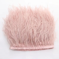 48 couleurs 8-10cm autruche plume garniture frange ruban tissu dentelle pour carnaval plume Costumes