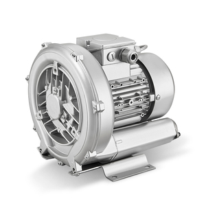 Bomba de Ar Regenerativa de Anel Vortex de Estágio Único para Aerador de Oxigênio para Tanques de Peixes em Aquicultura de Pequena Escala - Product Image 4