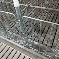 Nouvelles cages de gestation pour truies, équipement d'élevage porcin, cages à porcs galvanisées à chaud