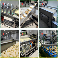 Friteuse industrielle entièrement automatique de haute qualité pour légumes, pommes de terre, fruits, chips, machine alimentaire en acier inoxydable 304 de qualité alimentaire 500-1000