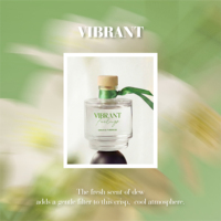 Nouvelle Huile Essentielle Végétale Naturelle Sans Flamme pour Aromathérapie 2026 – Usage Quotidien Domestique et Cadeau de Fêtes